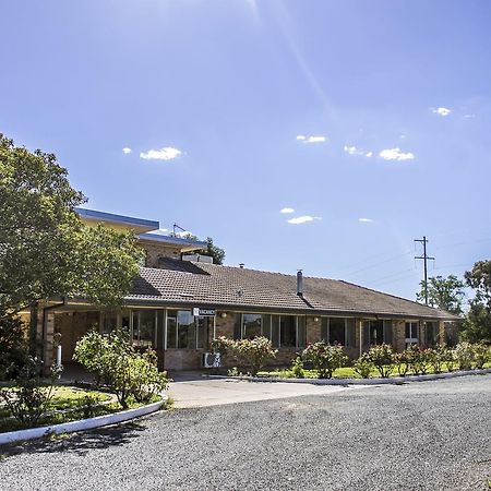 Allonville Gardens Motel ウォガウォガ エクステリア 写真