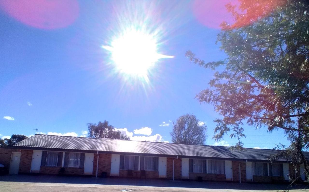 Allonville Gardens Motel ウォガウォガ エクステリア 写真