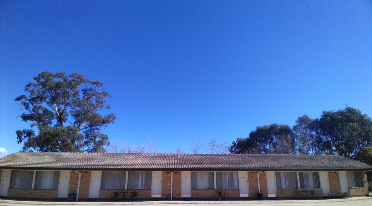 Allonville Gardens Motel ウォガウォガ エクステリア 写真