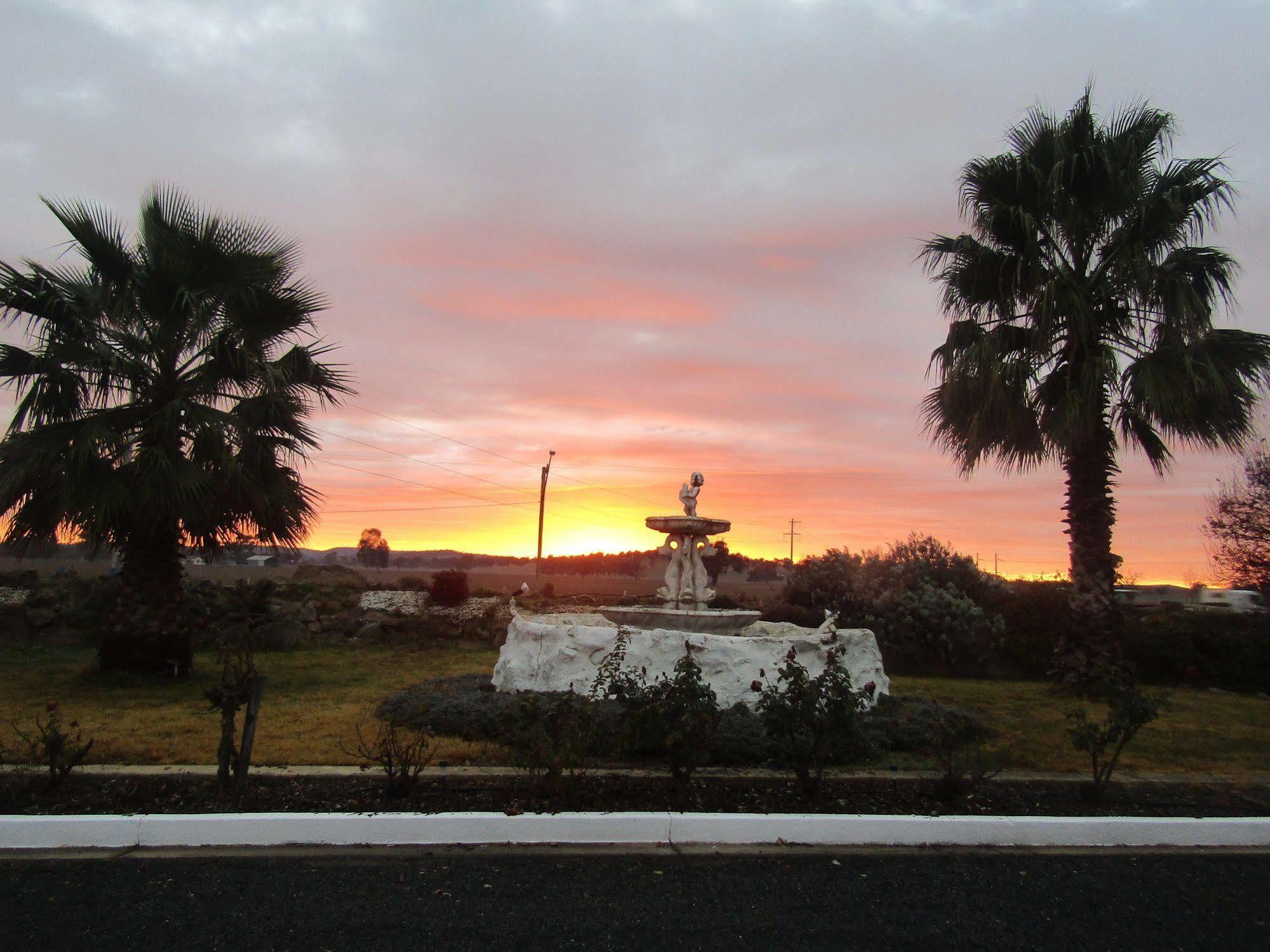 Allonville Gardens Motel ウォガウォガ エクステリア 写真