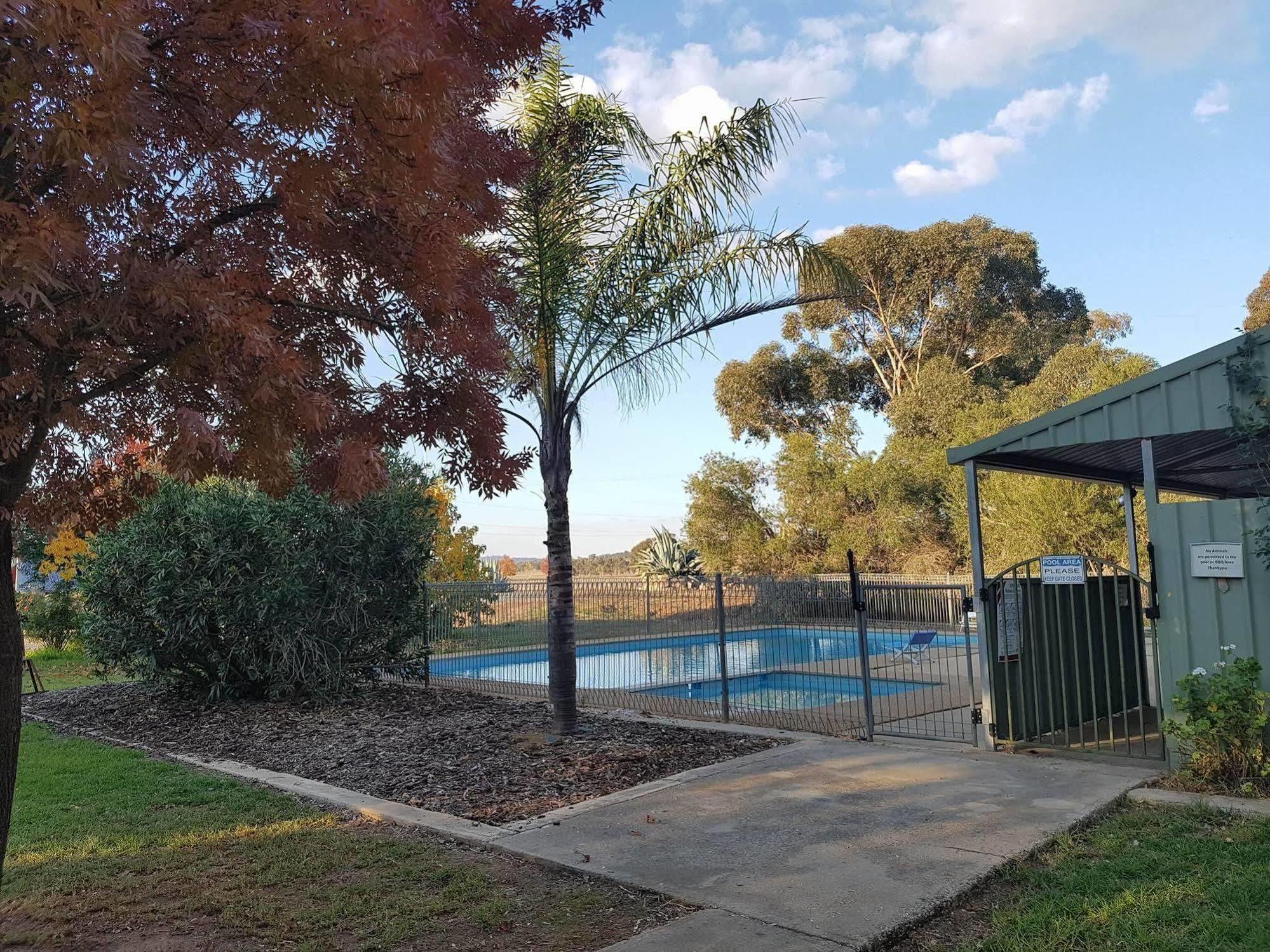 Allonville Gardens Motel ウォガウォガ エクステリア 写真